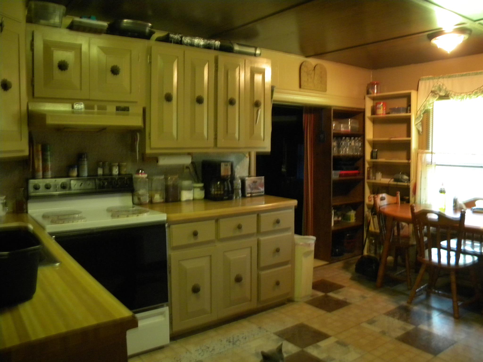 317 Garrison Road Hohenwald, TN 38462 - Photo 4 of 16 Lots of Cabinets