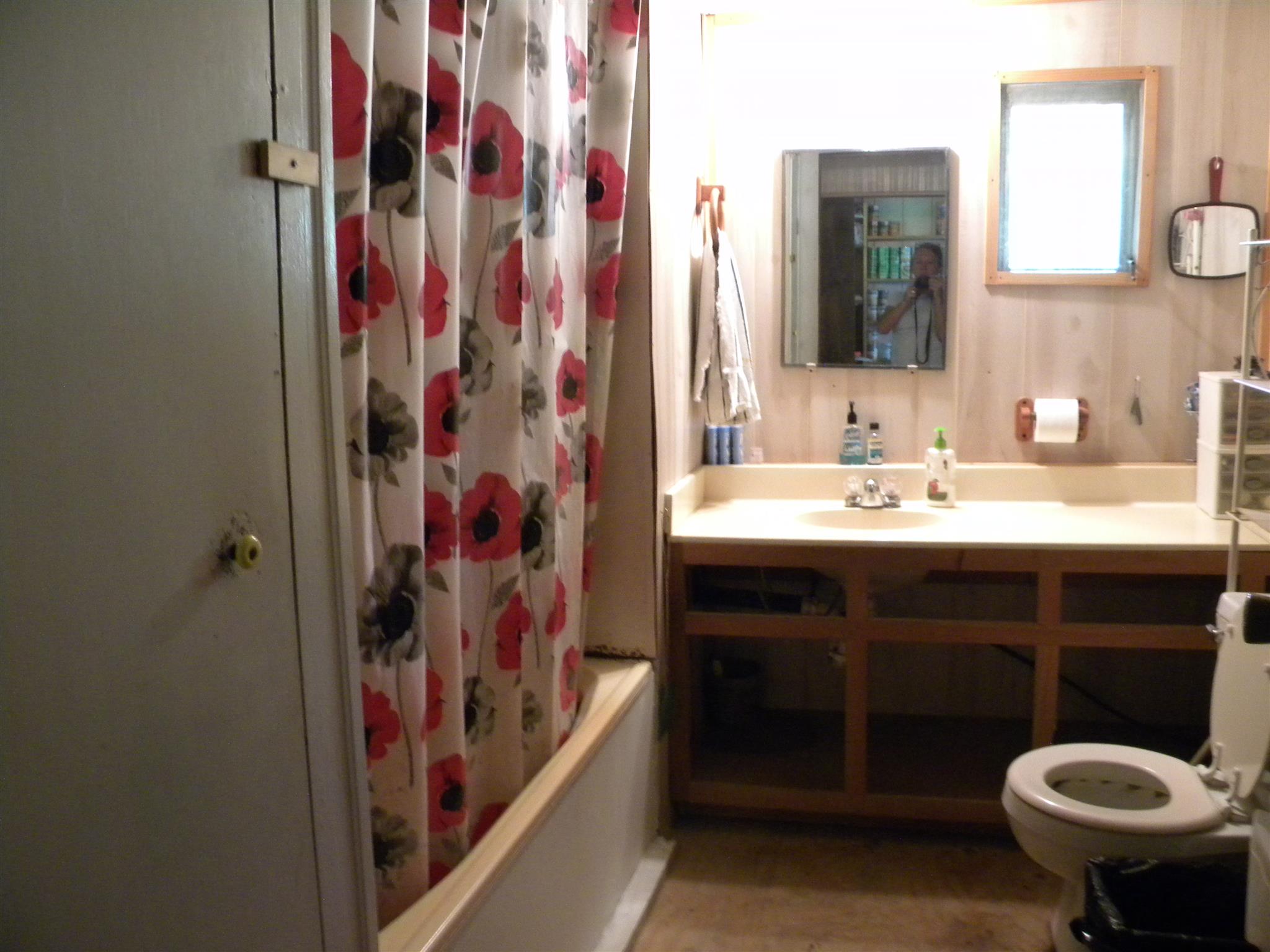 317 Garrison Road Hohenwald, TN 38462 - Photo 8 of 16 Bathroom needs flooring