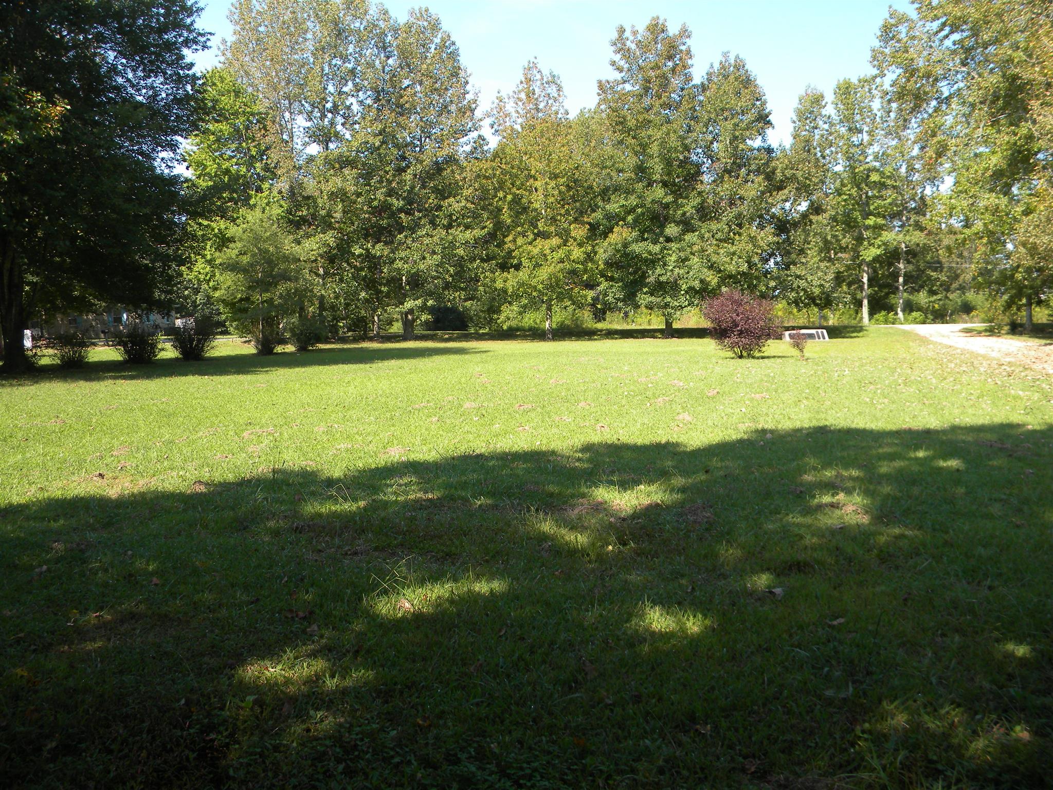 317 Garrison Road Hohenwald, TN 38462 - Photo 10 of 16 Big yard for gardening