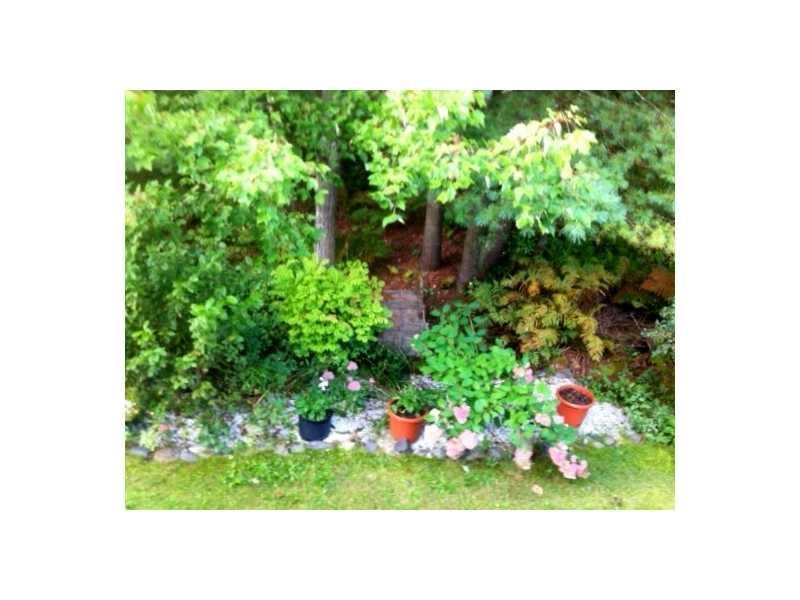 29 Old Orchard Road, Unit 8 Saco, ME 04072 - Photo 15 of 17 Exterior Back. Gardens off your back...