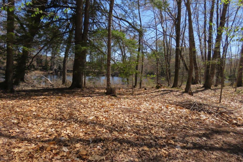 0 Old River Road Fryeburg, ME 04037 - Photo 9 of 15 IMG_5099