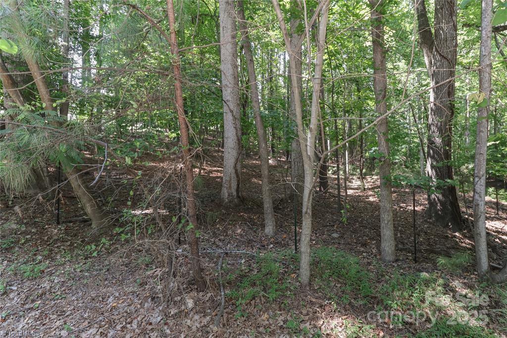 372 Kenway Loop Mooresville, NC 28117 - Photo 3 of 29