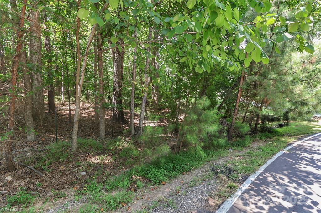 372 Kenway Loop Mooresville, NC 28117 - Photo 5 of 29