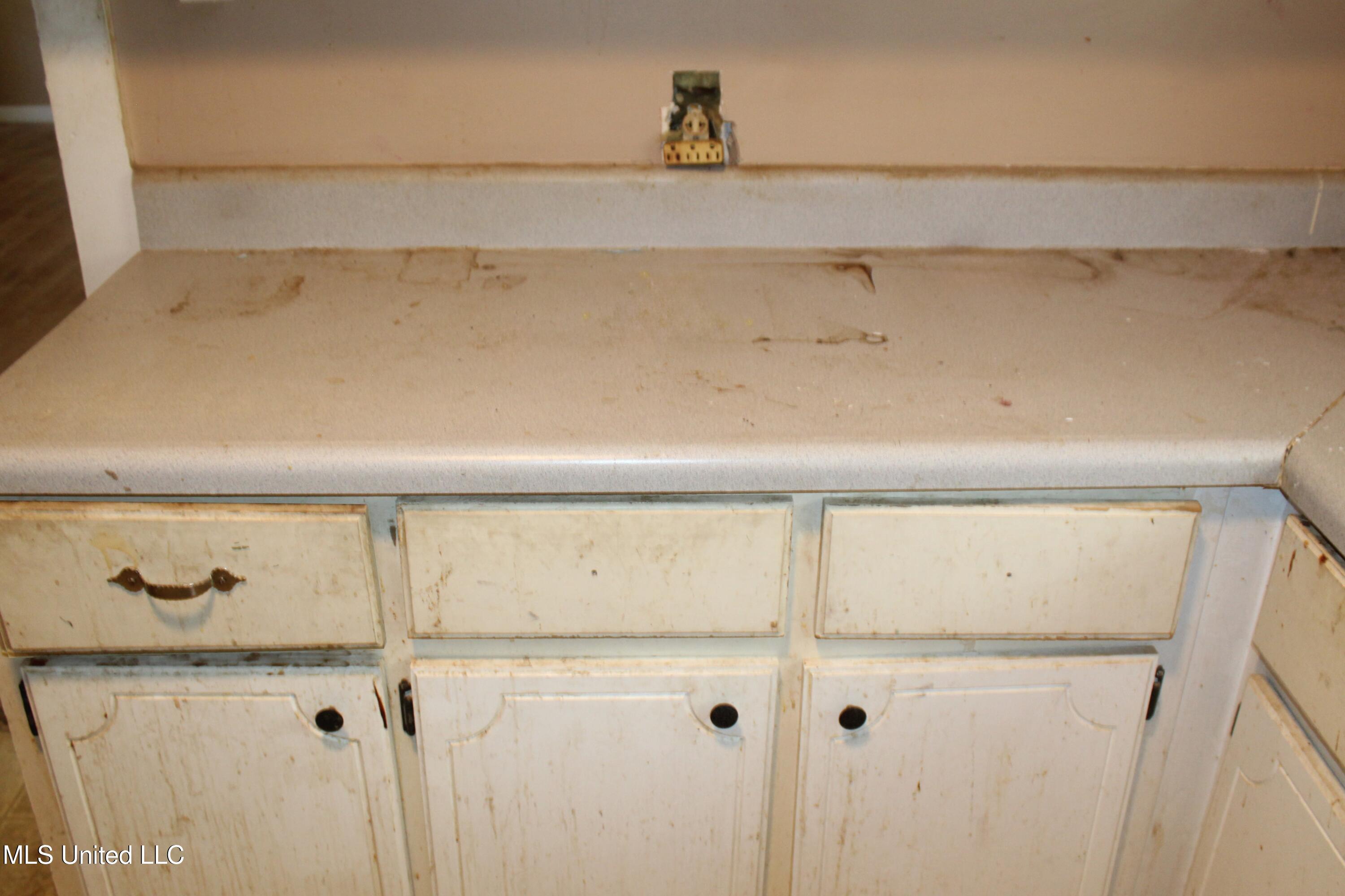 3123 Cold Springs Road Sardis, MS 38666 - Photo 11 of 19 IMG_1609