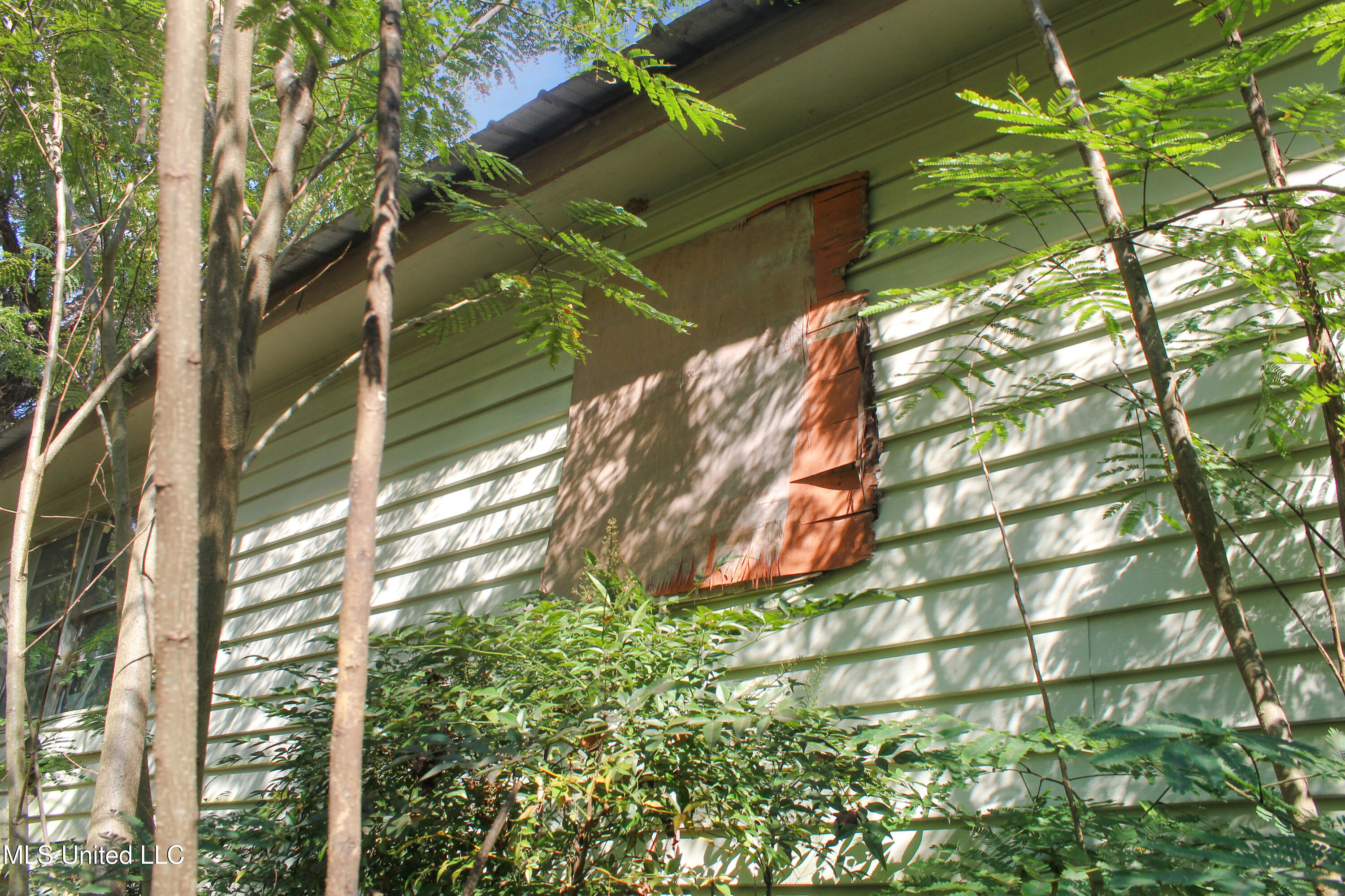 3123 Cold Springs Road Sardis, MS 38666 - Photo 4 of 19 IMG_1499