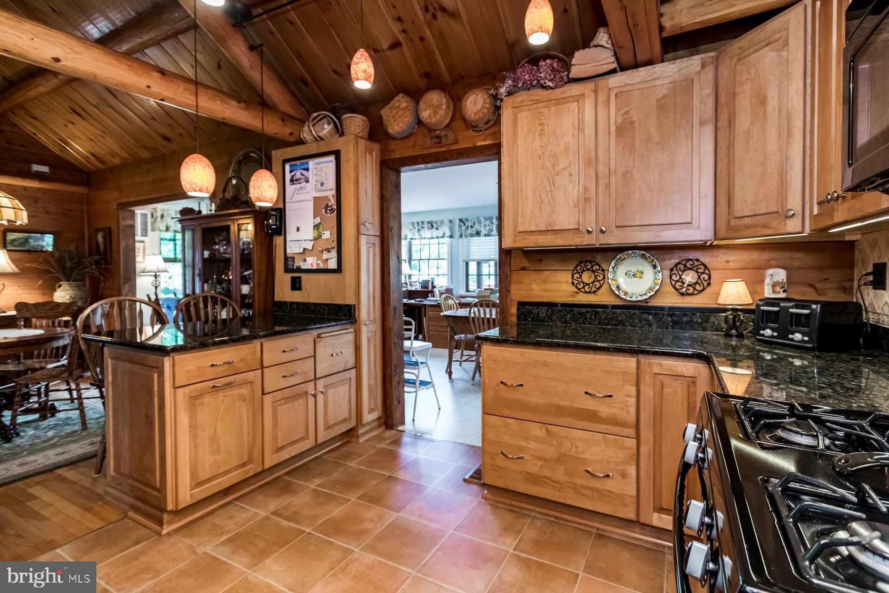 9732 Whiskey Bottom Road Laurel, MD 20723 - Photo 18 of 63 Kitchen is open to huge addition