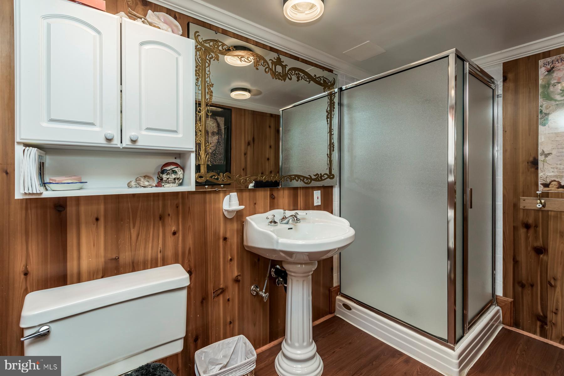 9732 Whiskey Bottom Road Laurel, MD 20723 - Photo 34 of 63 Lower level full bath