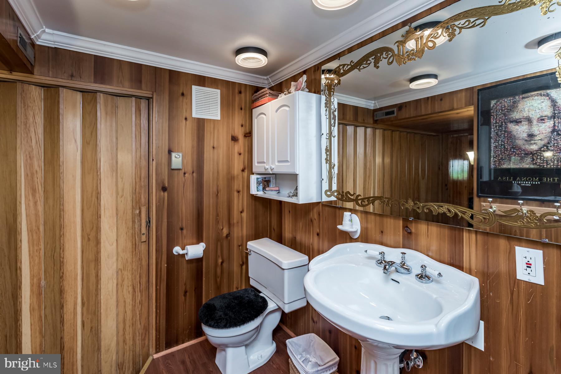 9732 Whiskey Bottom Road Laurel, MD 20723 - Photo 35 of 63 Another shot of the lower level full bath