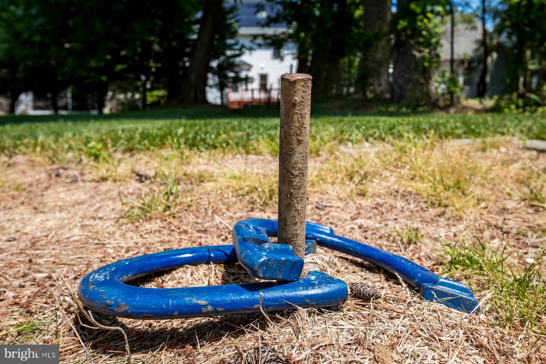 9732 Whiskey Bottom Road Laurel, MD 20723 - Photo 52 of 63 Who's up for a game of horseshoes?