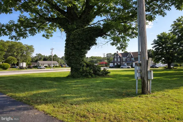 a picture of a yard with plants and trees