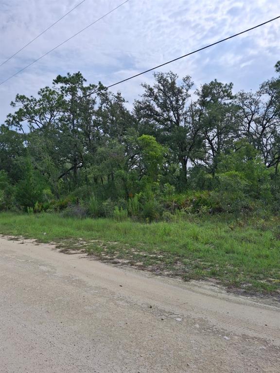 18308 Parakeet Road Weeki Wachee, FL 34614 - Photo 4 of 8 Gallery Image 4