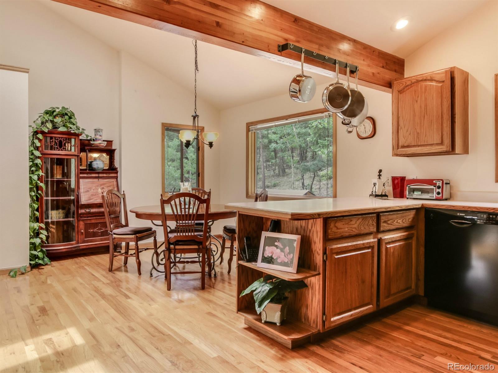 1860 Nova Road Pine, CO 80470 - Photo 15 of 34 Gallery Image 15