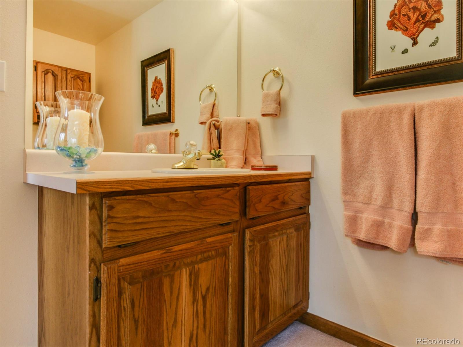 1860 Nova Road Pine, CO 80470 - Photo 23 of 34 Gallery Image 23