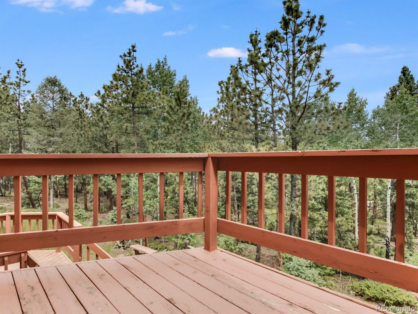 1860 Nova Road Pine, CO 80470 - Photo 32 of 34 Gallery Image 32