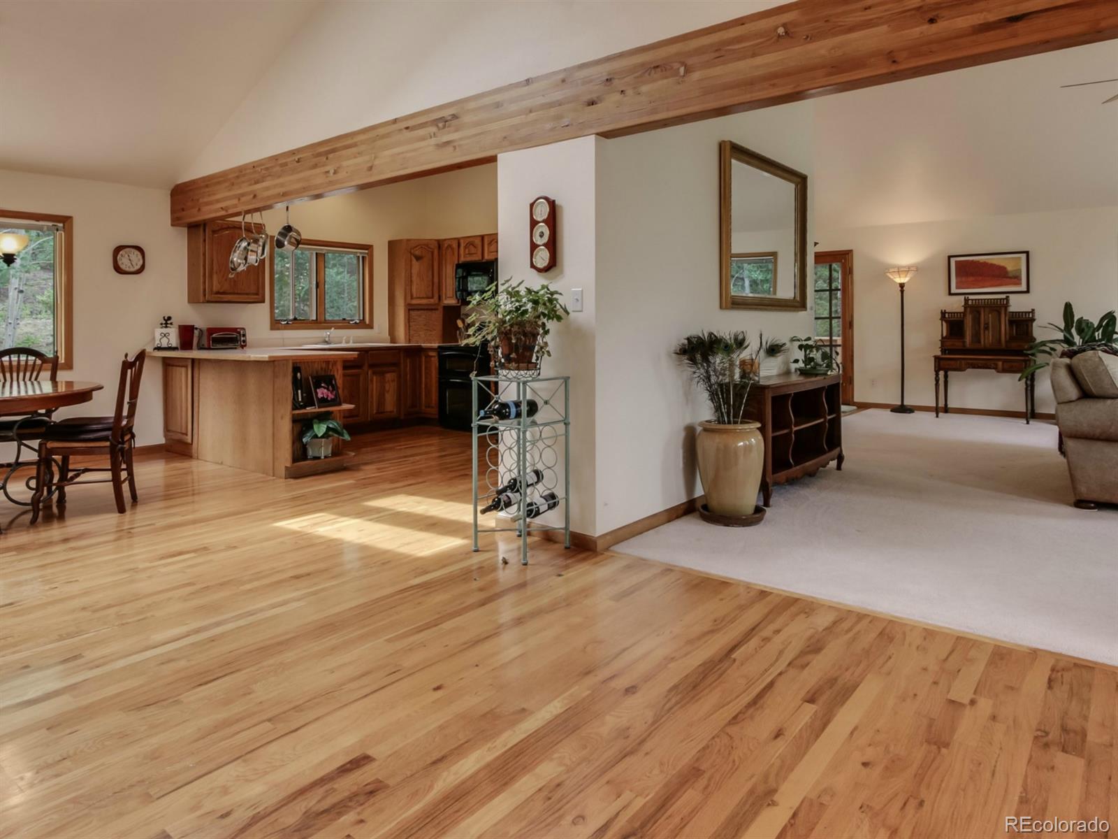 1860 Nova Road Pine, CO 80470 - Photo 7 of 34 Gallery Image 7