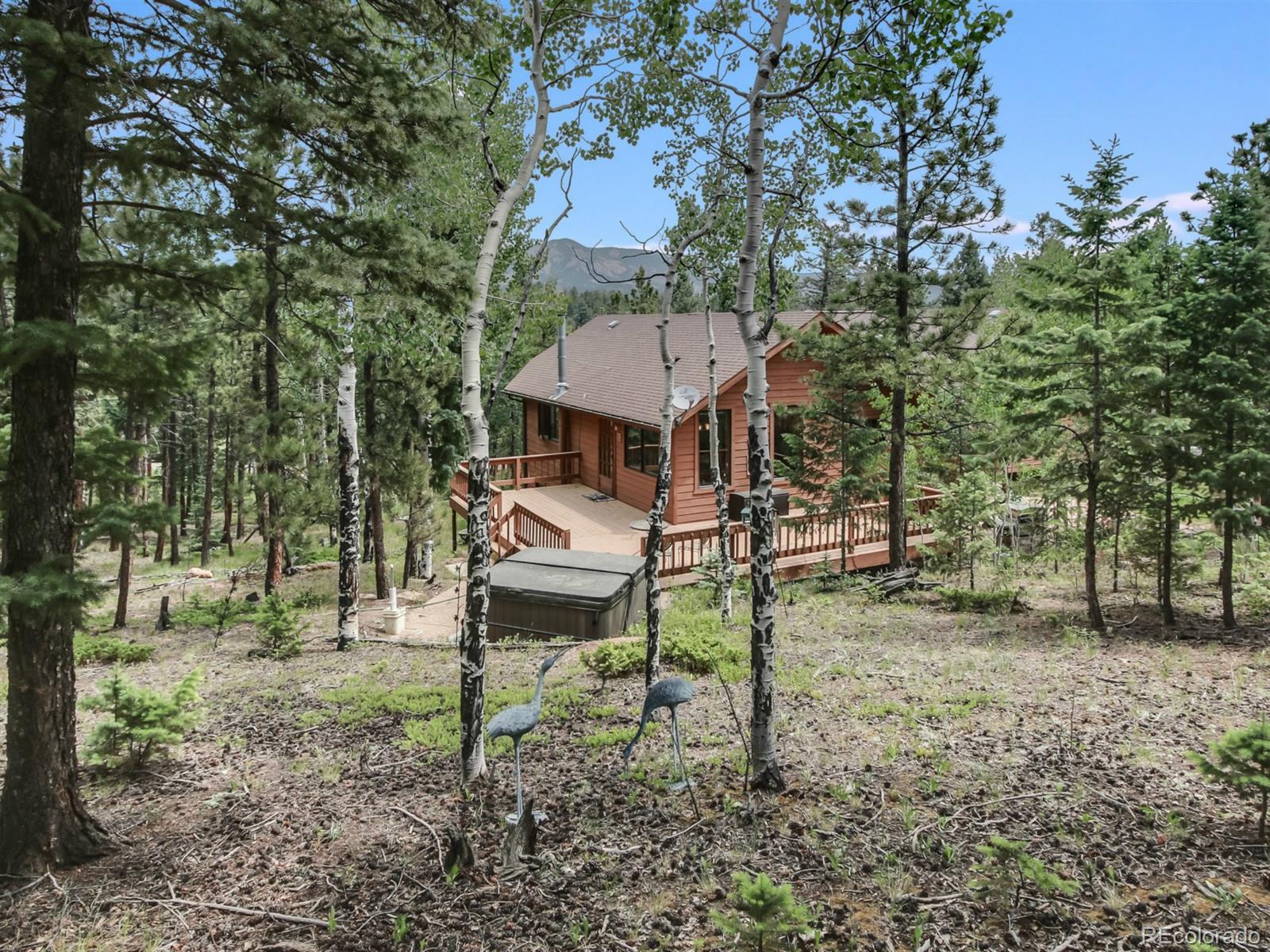 1860 Nova Road Pine, CO 80470 - Photo 10 of 34 Gallery Image 10