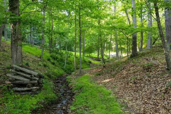 $1,740,000 | 701 Bishop Road, Blacksburg, VA 24060