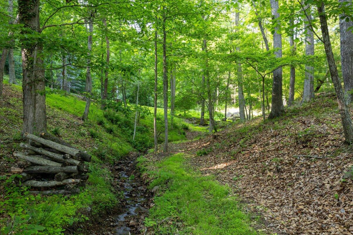 701 Bishop Road Blacksburg, VA 24060 - Photo 8 of 110 H