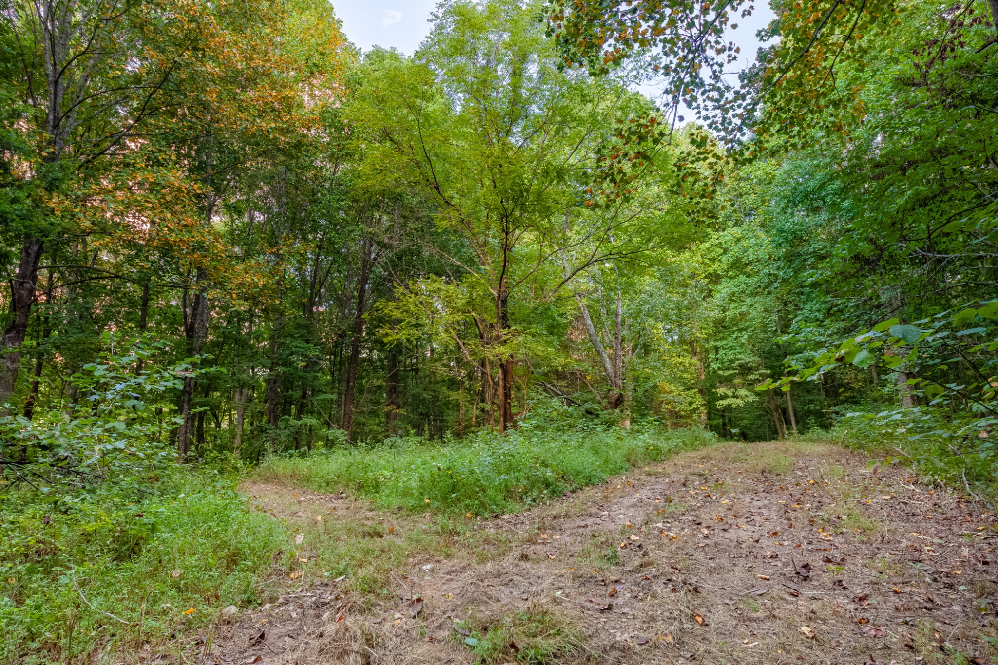 0 Sugar Ridge Road Spring Hill, TN 37174 - Photo 12 of 14 a big yard with lots of green space and house