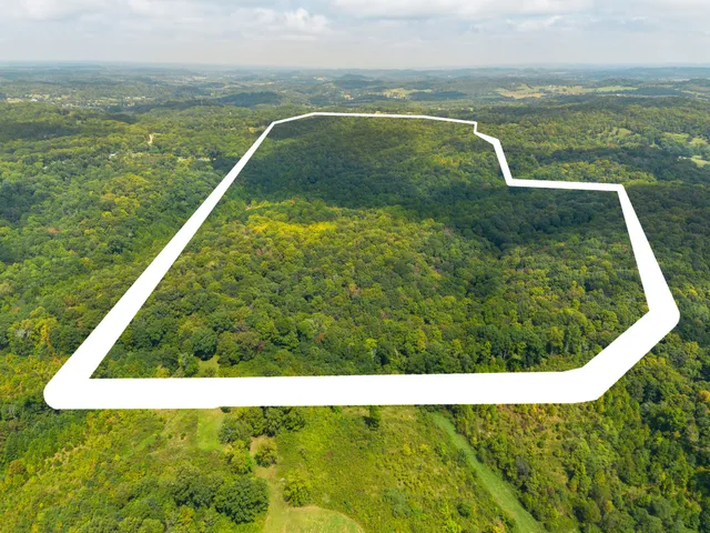 a view of a green field with lots of bushes
