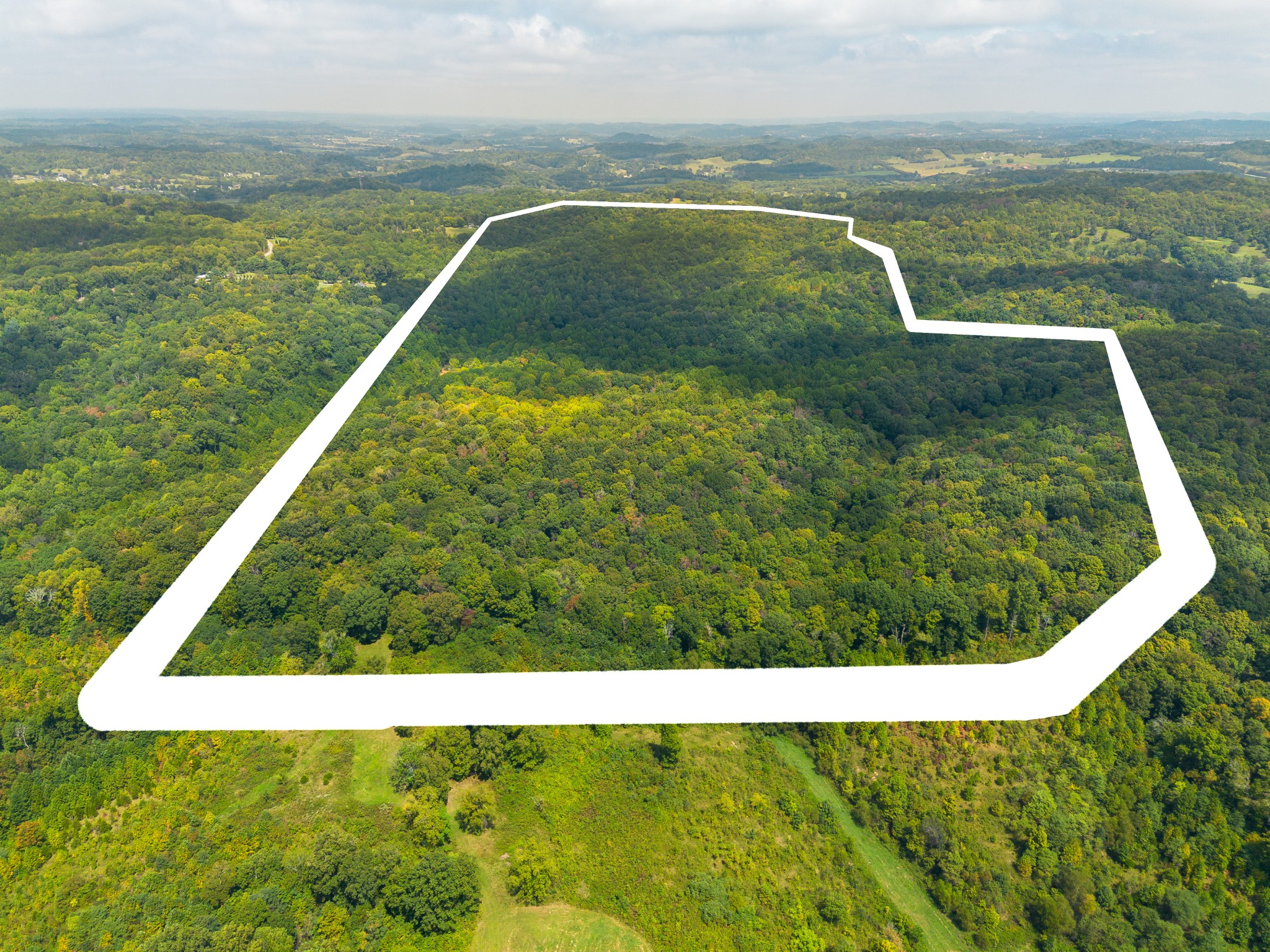 0 Sugar Ridge Road Spring Hill, TN 37174 - Photo 3 of 14 a view of a yard with a swimming pool