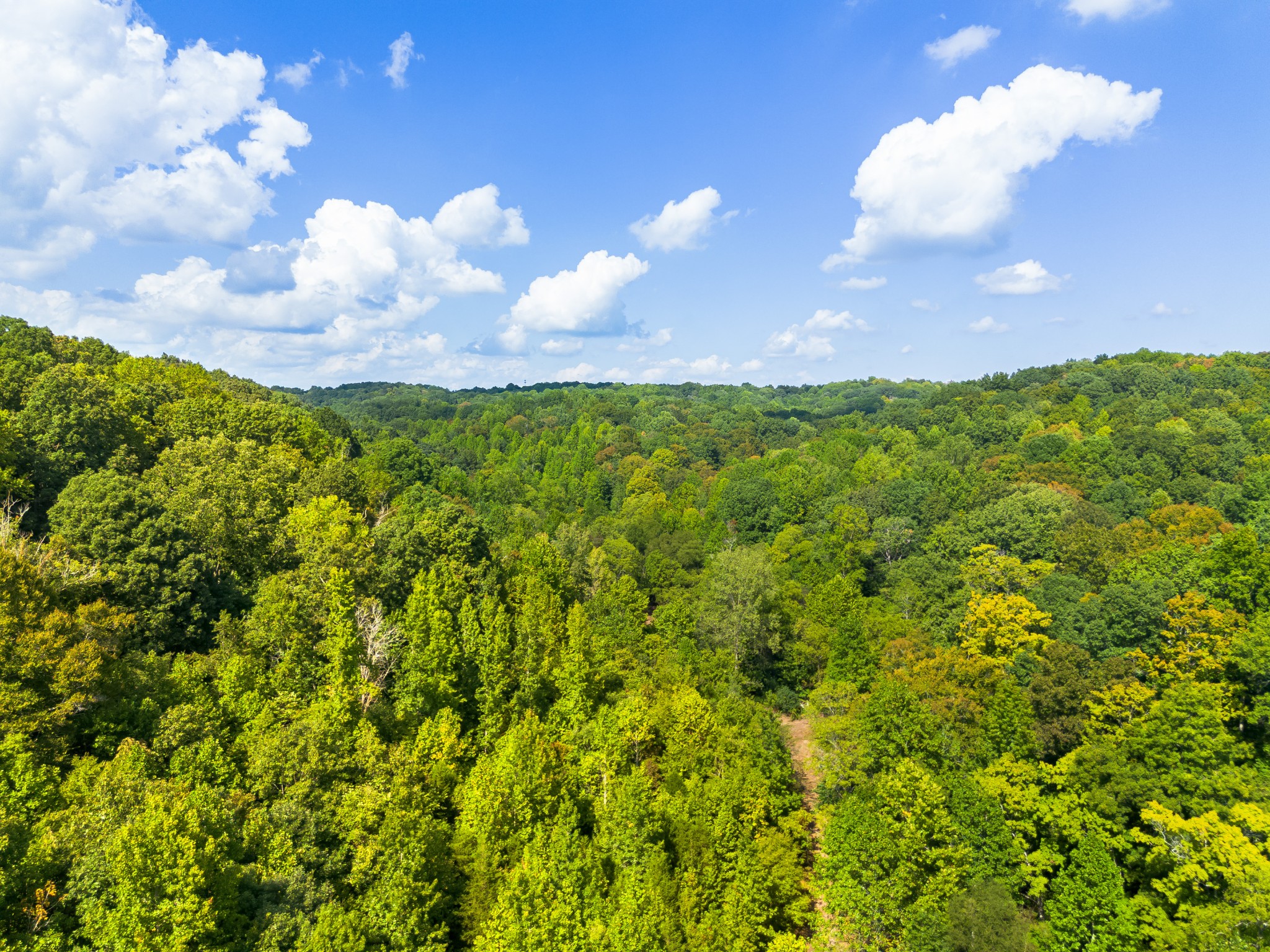 0 Sugar Ridge Road Spring Hill, TN 37174 - Photo 6 of 14 a view of a bunch of trees