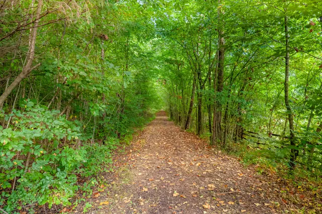 a view of outdoor space and a yard