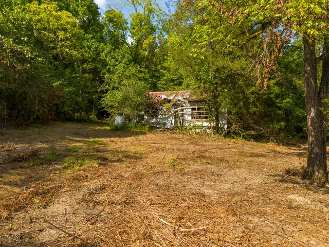 a big yard with lots of green space and house