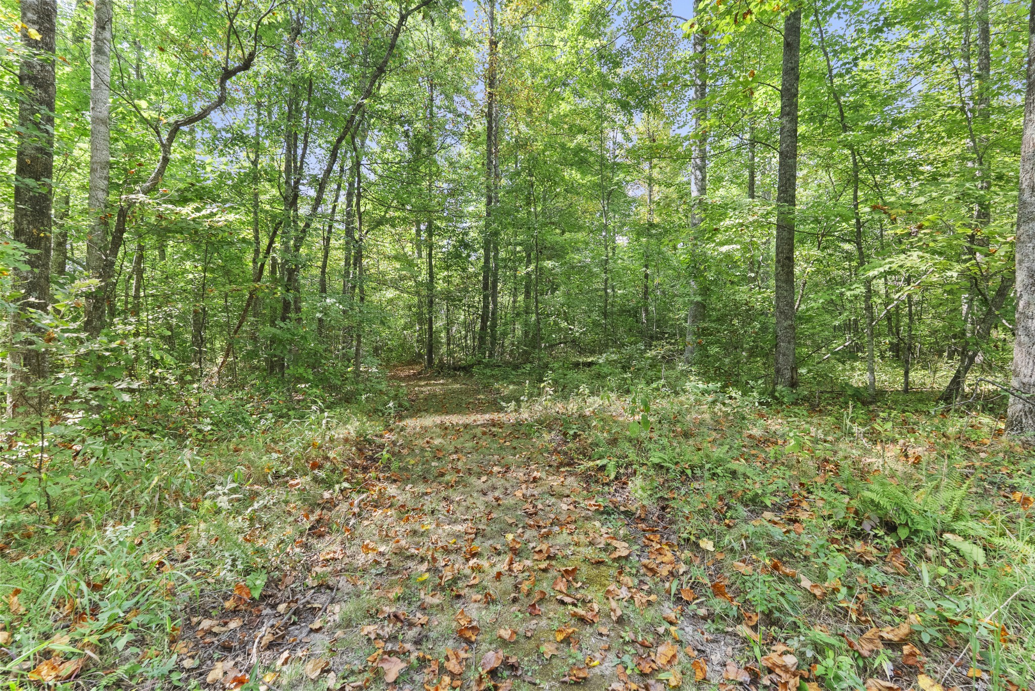 625 Meadows Road Sparta, TN 38583 - Photo 46 of 87 Gallery Image 46