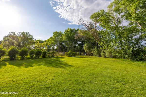 a view of a trees in a yard
