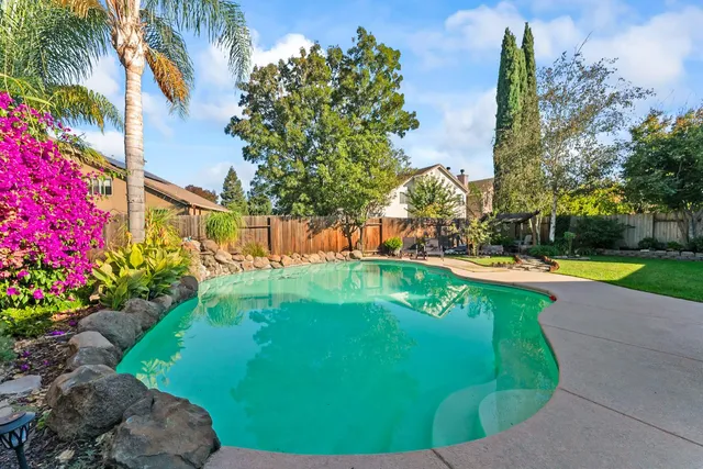 a view of a backyard with tree s