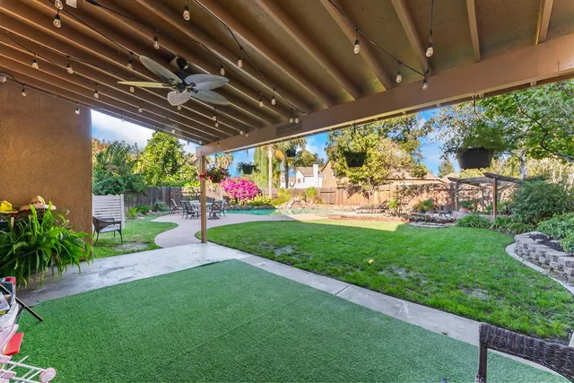 a view of a garden with plants and large trees