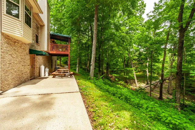 a view of a patio with a table chairs and a potted plant