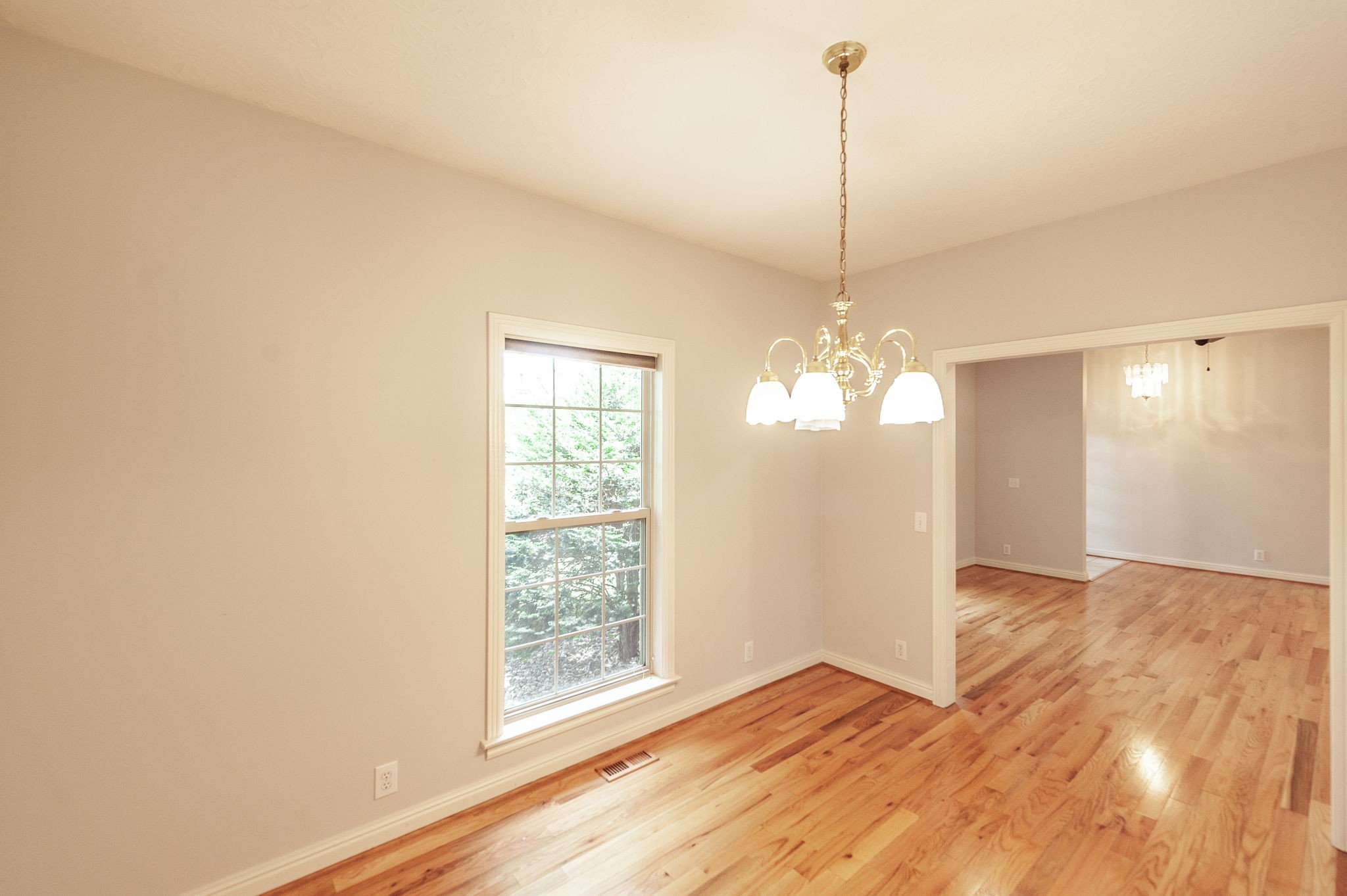 6513 North Mt Pleasant Road Greenbrier, TN 37073 - Photo 39 of 54 a view of a room with window and wooden floor