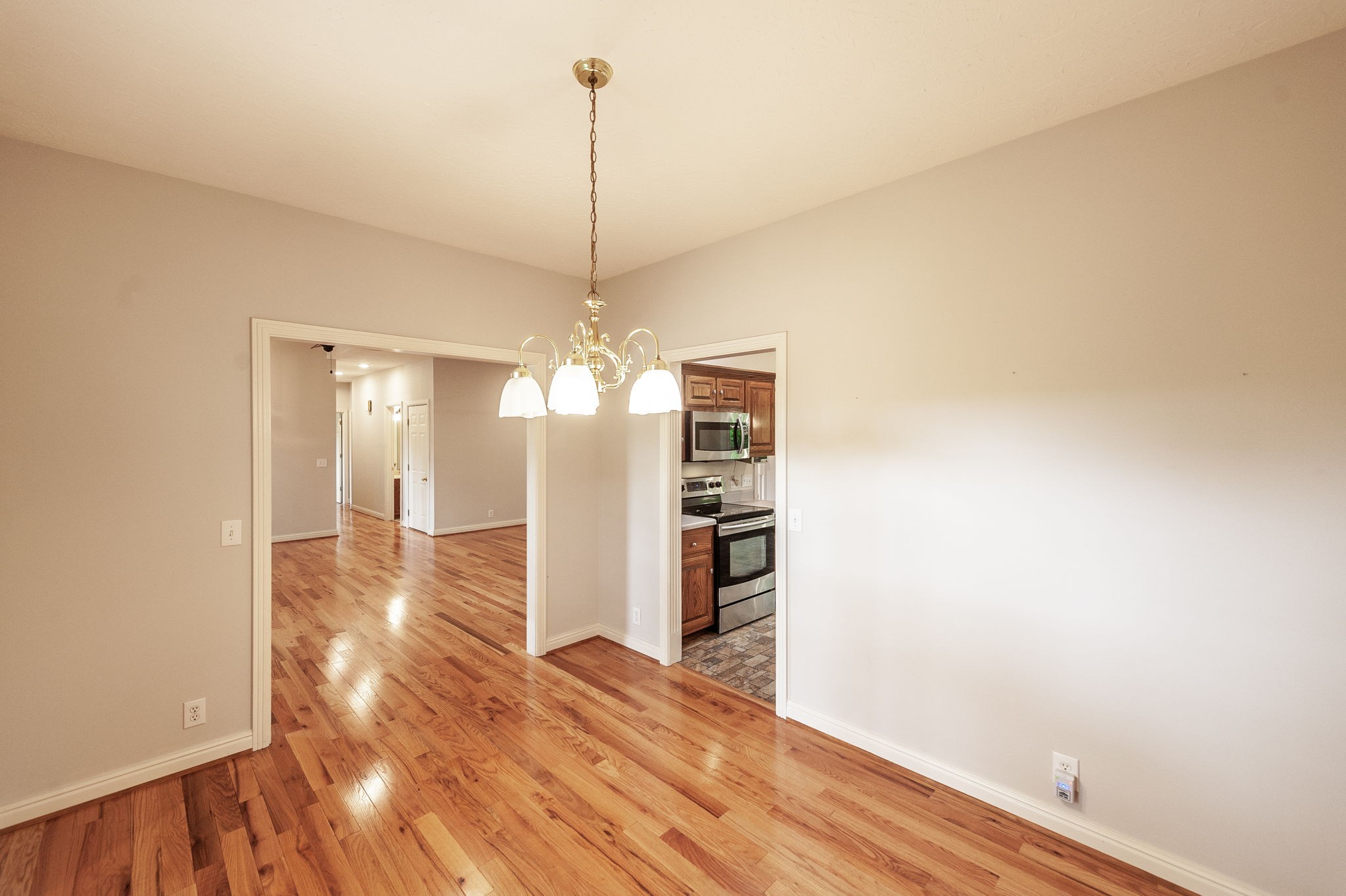 6513 North Mt Pleasant Road Greenbrier, TN 37073 - Photo 40 of 54 a view of a room with wooden floor chandelier and a window