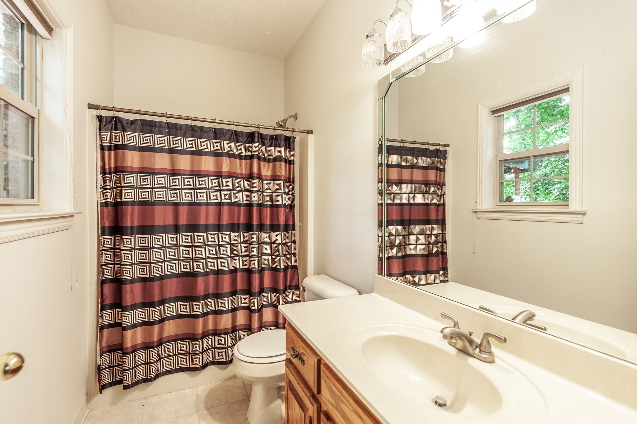 6513 North Mt Pleasant Road Greenbrier, TN 37073 - Photo 43 of 54 a bathroom with a sink toilet mirror and shower