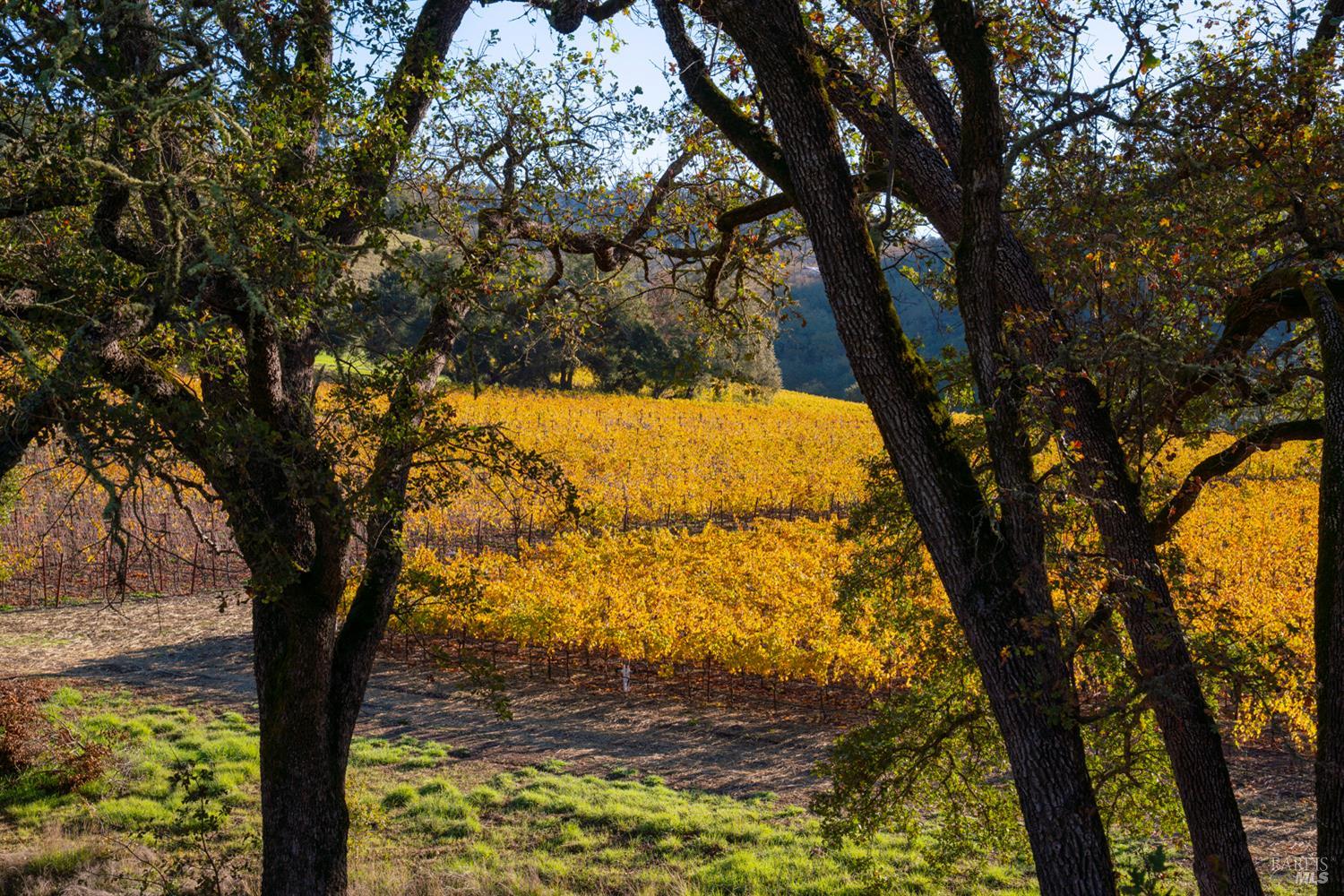 970-960 Conn Valley Road St. Helena, CA 94574 - Photo 34 of 49 Gallery Image 34