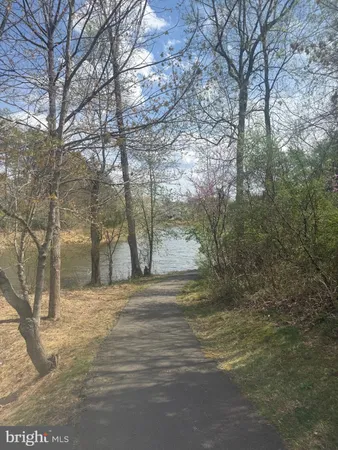 a view of a yard with large trees