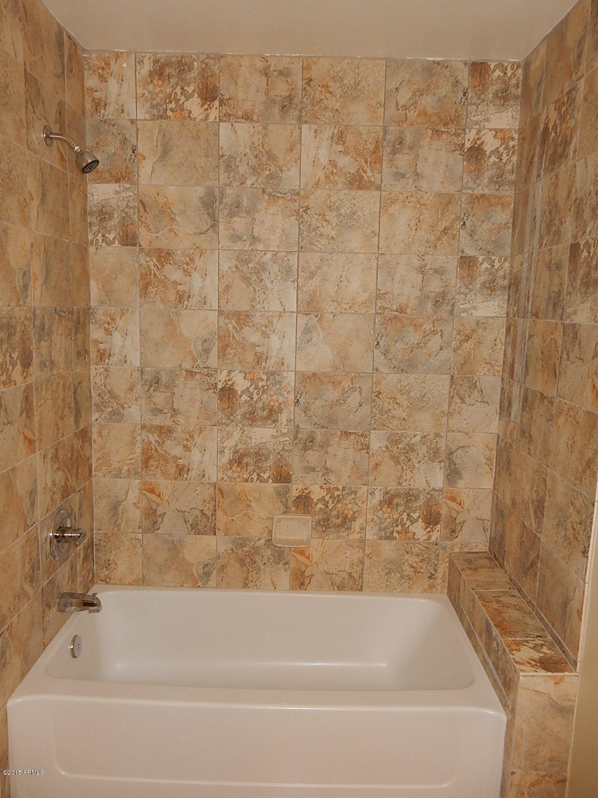 12856 South Zuni Road Buckeye, AZ 85326 - Photo 9 of 38 DSCN2425