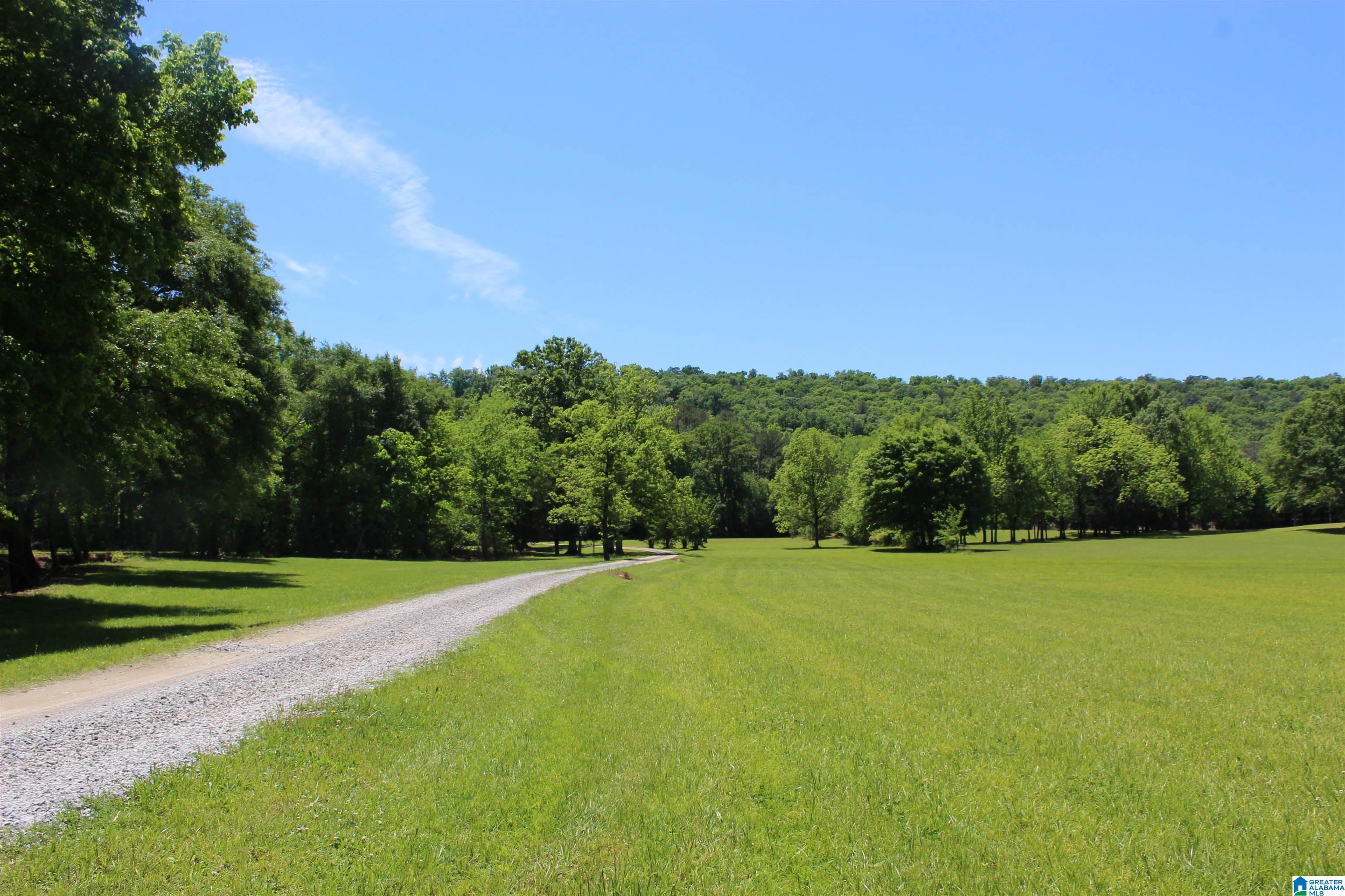 1680 Highway 174 Springville, AL 35146 - Photo 43 of 97