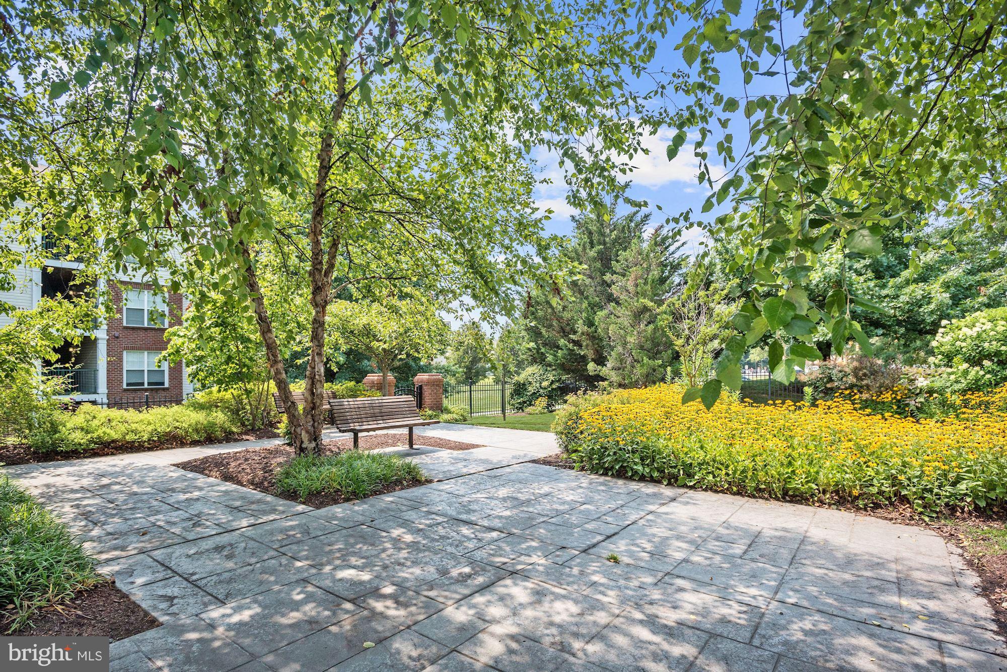 10706 Symphony Way, Unit 208 Columbia, MD 21044 - Photo 36 of 49 Community Picnic Area