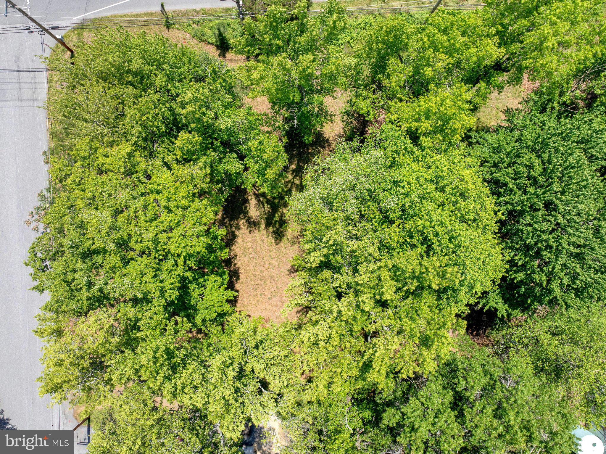 3424-3422 Pike Ridge Road Edgewater, MD 21037 - Photo 2 of 17 a view of a garden