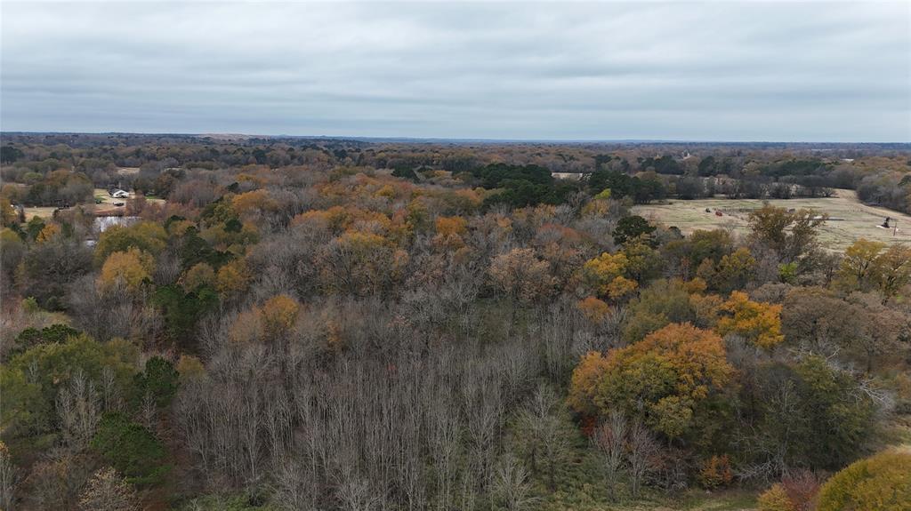 1 West Harrison Road Longview, TX 75604 - Photo 8 of 18 Timber