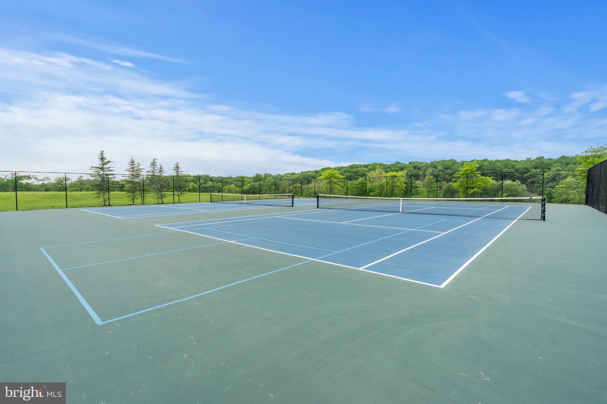 4770 Plum Road Monrovia, MD 21770 - Photo 59 of 61 Tennis court