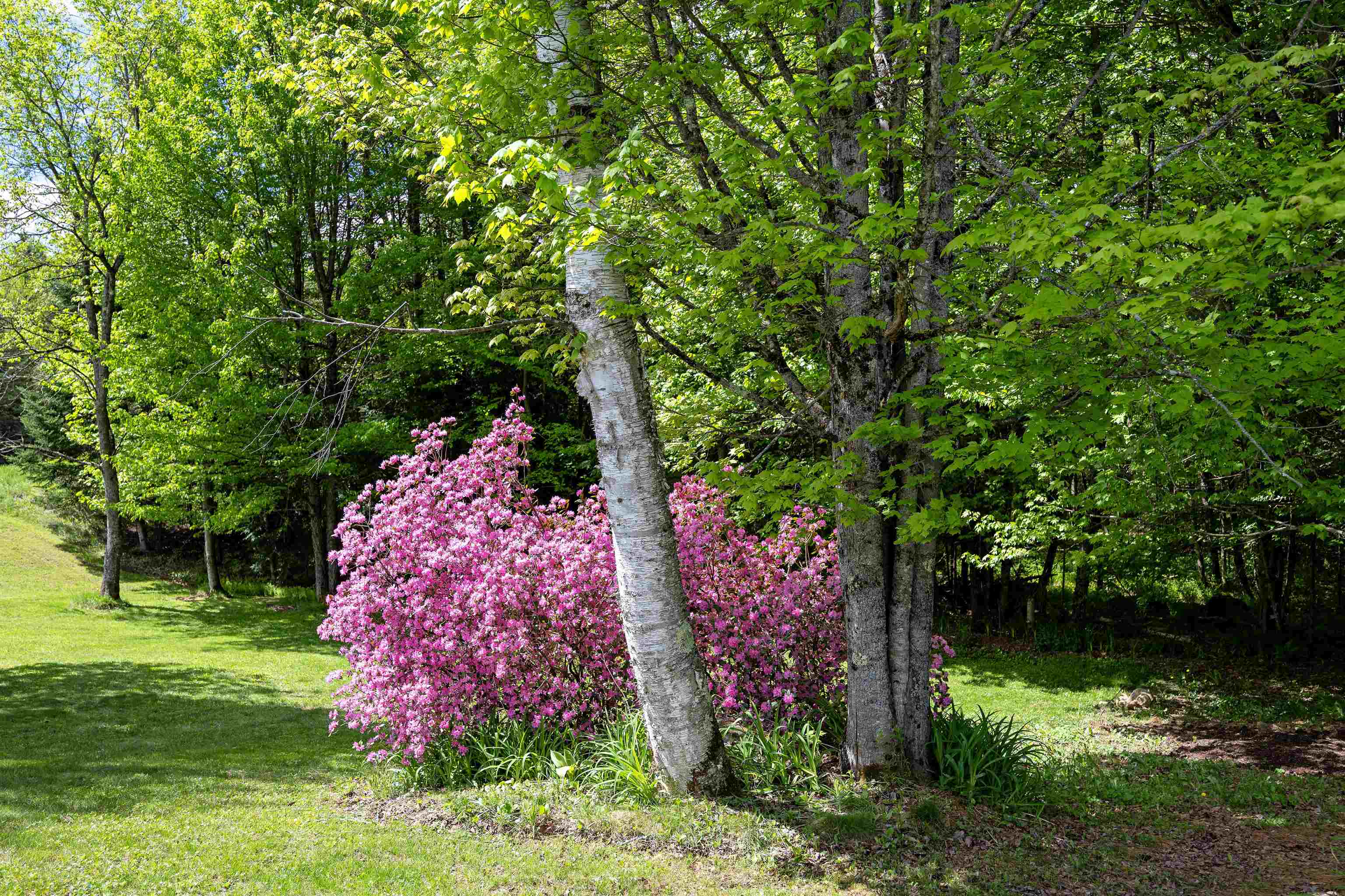 931 North Concord Road Concord, VT 05858 - Photo 40 of 46