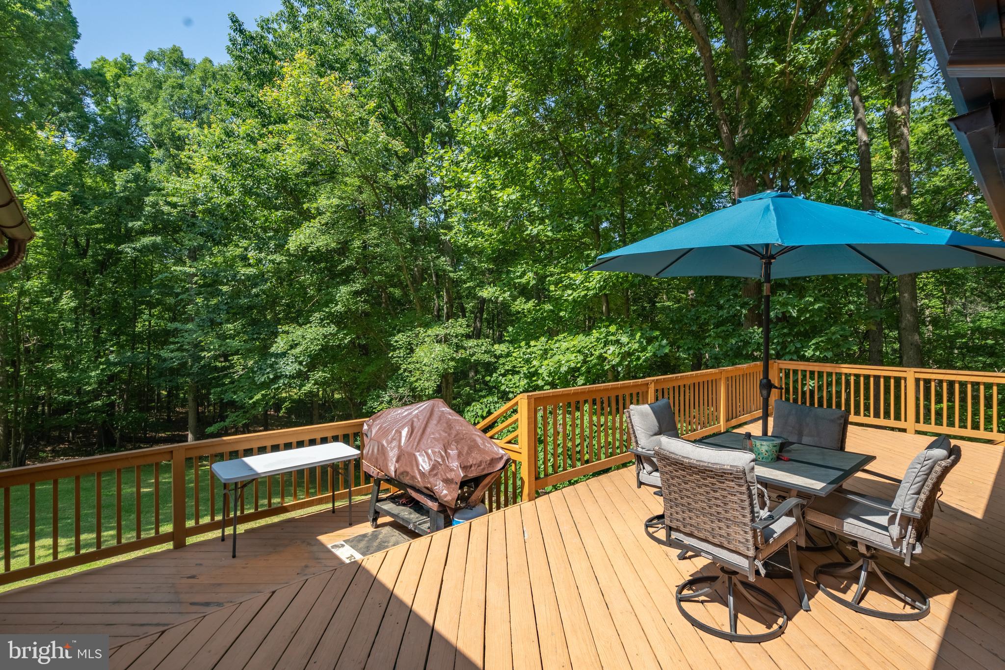 336 Gorham Lane Boyce, VA 22620 - Photo 62 of 90