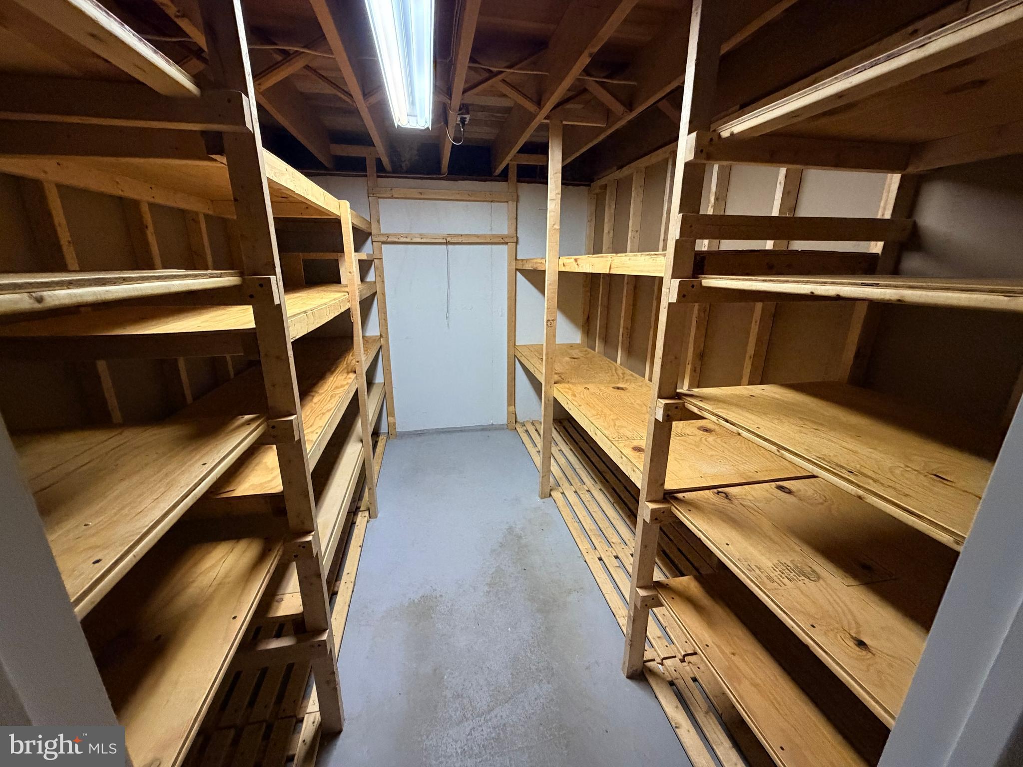 312 Mt Alverno Road Media, PA 19063 - Photo 21 of 22 Numerous shelves