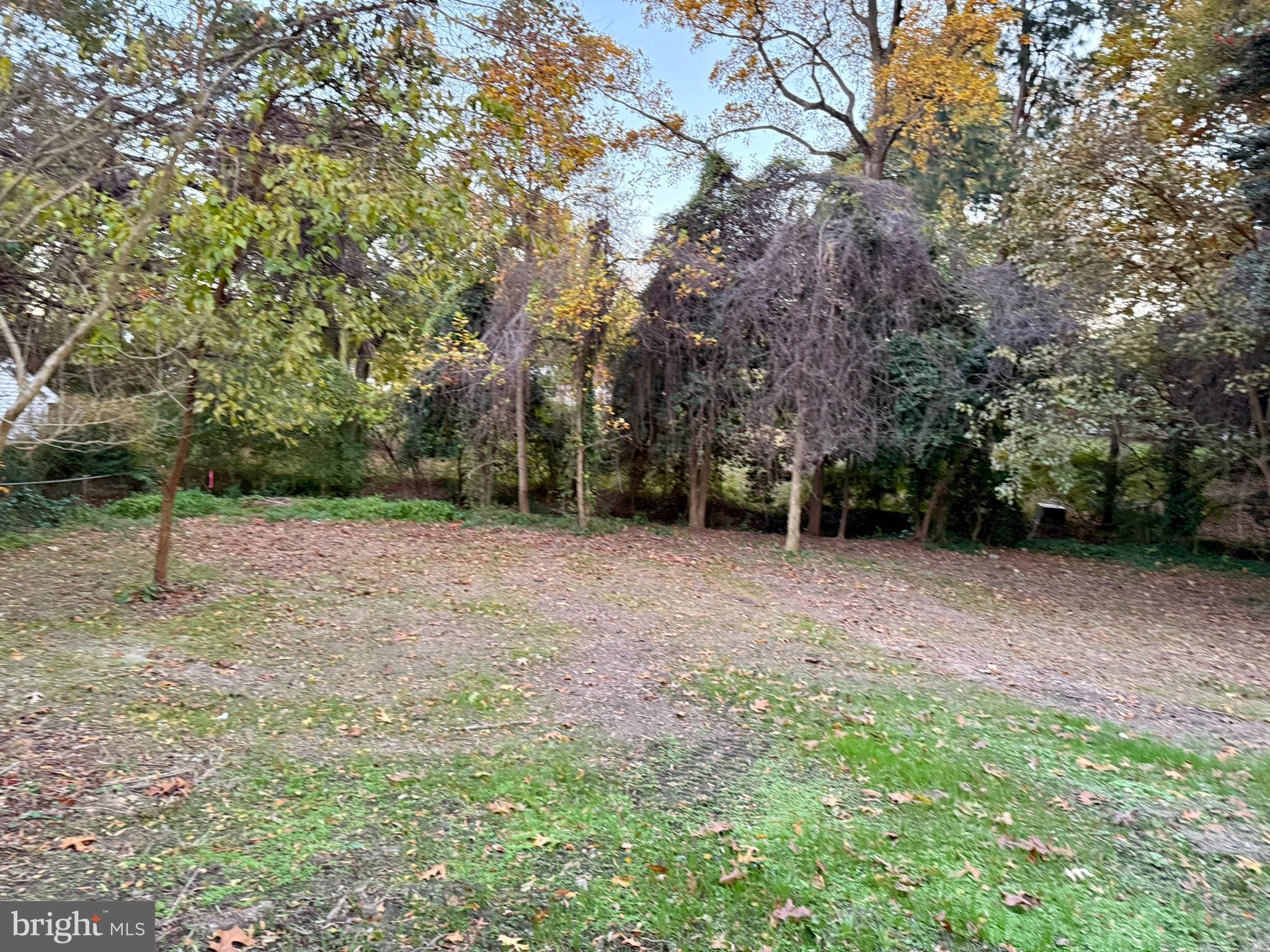 530 Woodsedge Road Dover, DE 19904 - Photo 47 of 52 a view of a backyard with trees