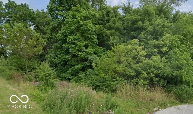 $25,000 | 3118 North Euclid Avenue, Indianapolis, IN 46218