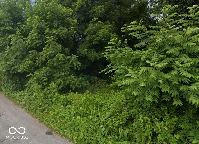 $25,000 | 3118 North Euclid Avenue, Indianapolis, IN 46218